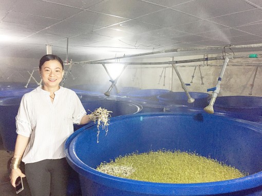 Khởi nghiệp thành công với giá đậu