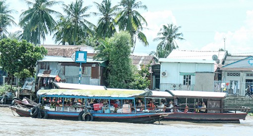 Về Tiền Giang đi chợ nổi, miệt vườn Tân Phong