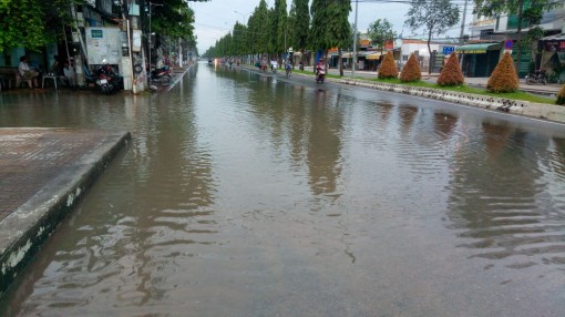 Triều cường lên cao vượt báo động III