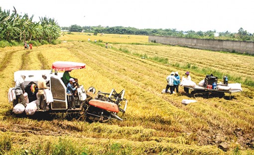 Đẩy mạnh cơ giới hóa,

nâng cao hiệu quả sản xuất