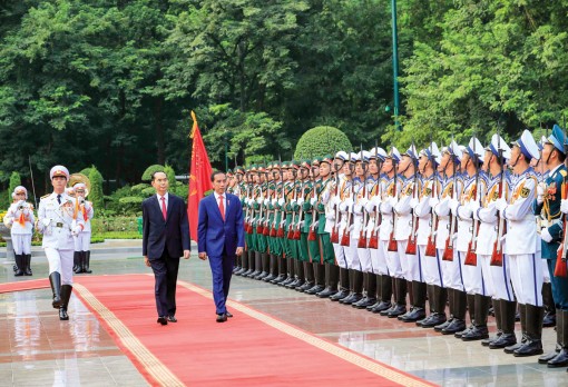 Chủ tịch nước Trần Đại Quang hội đàm với Tổng thống Indonesia Joko Widodo