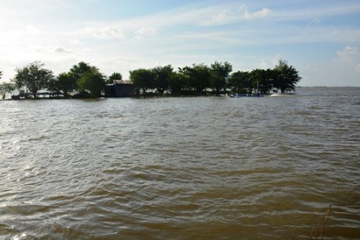 An Giang: Hàng ngàn hécta lúa ở huyện Tri Tôn bị lũ đe dọa