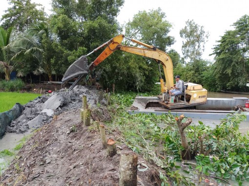 Chủ động ứng phó khi thời tiết bất lợi