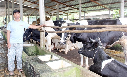 Hợp tác, liên kết sản xuất đáp ứng yêu cầu hội nhập