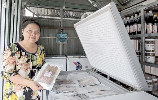 Sản xuất mắm, khô cá tra