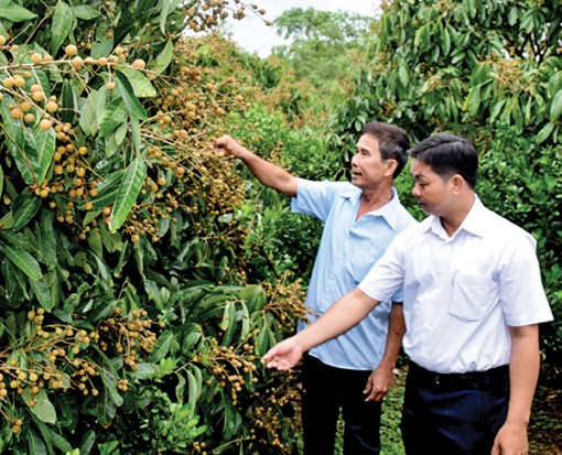Chủ động ngăn lũ bảo vệ sản xuất