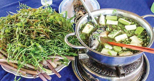 Mối liên hệ giữa ẩm thực và sức khỏe trong văn hóa Nam bộ