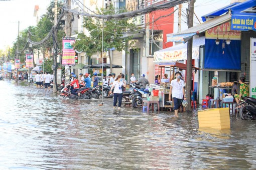 Nhiều diện tích sản xuất nông nghiệp bị thiệt hại do triều cường, lũ