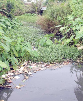 Khổ vì rạch Cái Đôi ô nhiễm