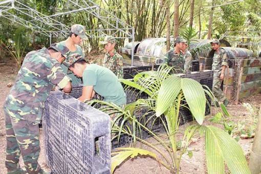 Tích cực chuẩn bị diễn tập khu vực phòng thủ thành phố