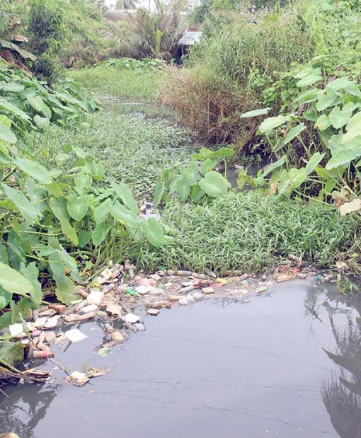 Khổ vì rạch Cái Đôi ô nhiễm