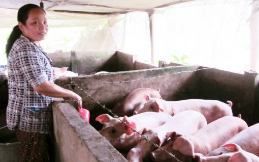 Thống kê đúng, đủ hộ nghèo, cận nghèo cần trợ giúp