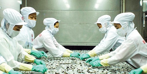 VN-Index lấy lại mốc 1.000 điểm 
sau hơn 3 tháng để tuột mất