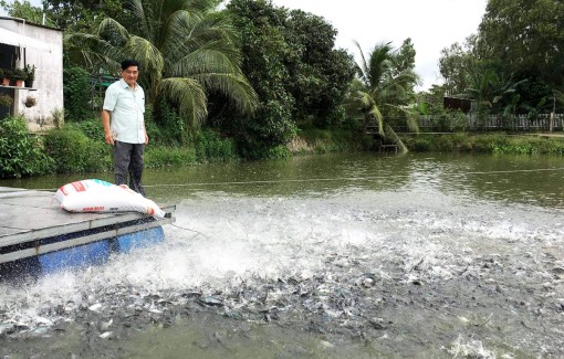 Nâng chất toàn diện hướng đến mục tiêu huyện nông thôn mới