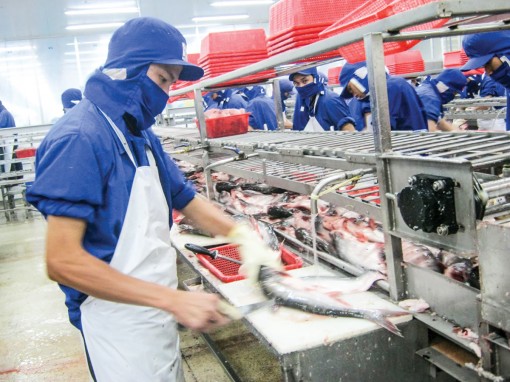 Tăng sức cạnh tranh cho ngành nông nghiệp