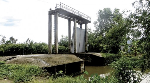 Bàn về Dự án thủy lợi Cái Lớn - Cái Bé