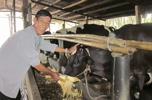 Người cao tuổi làm kinh tế giỏi