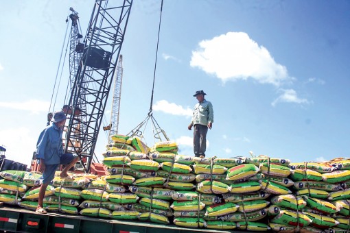 Triển vọng tăng trưởng cao