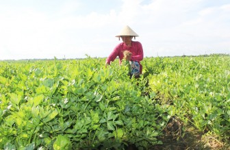 យក​ចិត្ត​ទុក​​ដាក់​​គិ​ត​​គូរ​​ដល់​​អ្នក​​ក្រ