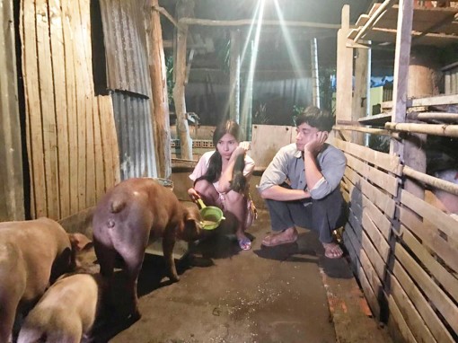 Tiếng cười ý nhị cùng “Vợ chồng Đậu thời @”