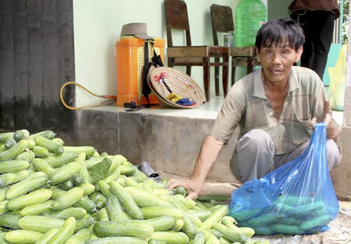 Lợi nhuận cao

từ chuyên canh màu