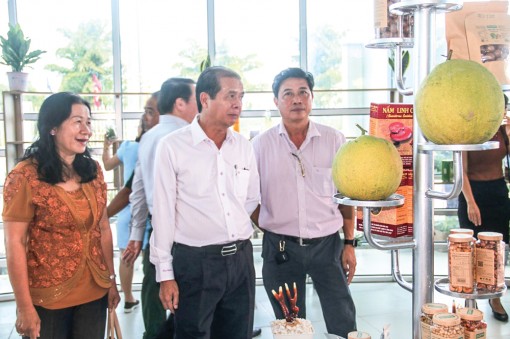 Khai trương Điểm Kết nối cung- cầu công nghệ vùng ĐBSCL tại Cần Thơ