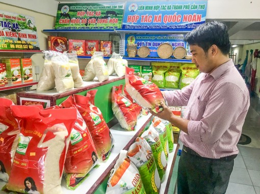 Doanh nghiệp Việt tăng sức cạnh tranh để hội nhập