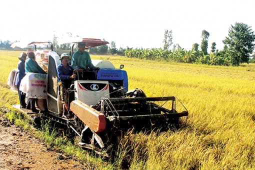 Đảm bảo hoàn thành chỉ tiêu kế hoạch năm