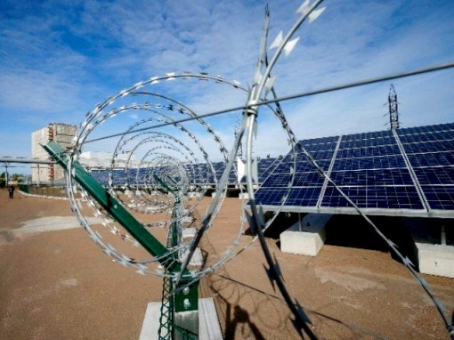 “Vùng đất chết” Chernobyl mang hơi thở mới