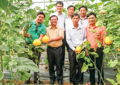 Một trải nghiệm làm nông nghiệp công nghệ cao