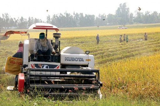 Cơ cấu lại ngành nông nghiệp

gắn với xây dựng nông thôn mới