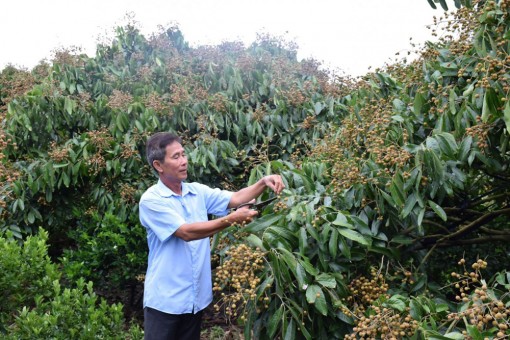 Động lực xây dựng nông thôn mới