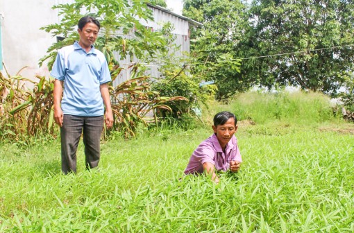 Tăng thu nhập nhờ hợp tác sản xuất