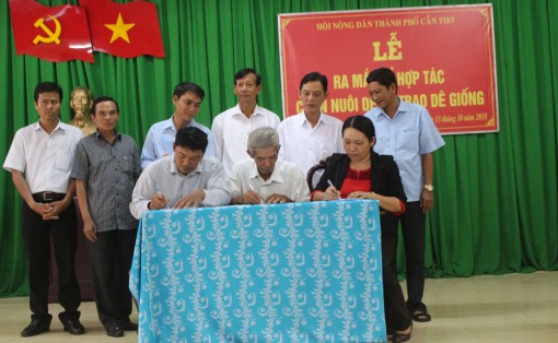 Trao 30 con dê giống cho hội viên nông dân có hoàn cảnh khó khăn