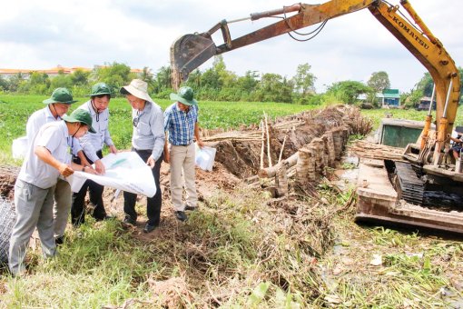 Chủ động ứng phó ngập lụt, khắc phục hậu quả do triều cường