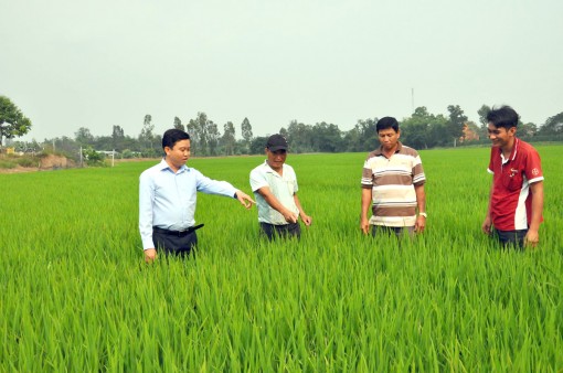 Cờ Đỏ đổi mới, sắp xếp tổ chức bộ máy và tinh giản biên chế