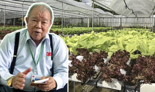 Bàn thêm về nông nghiệp 4.0