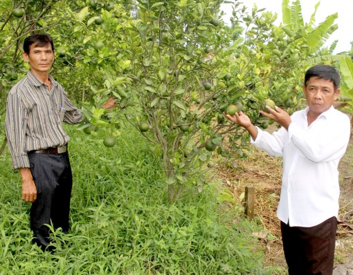 Thiết thực chăm lo đời sống hội viên