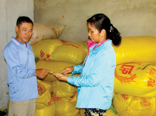 Hiệu quả hợp tác 