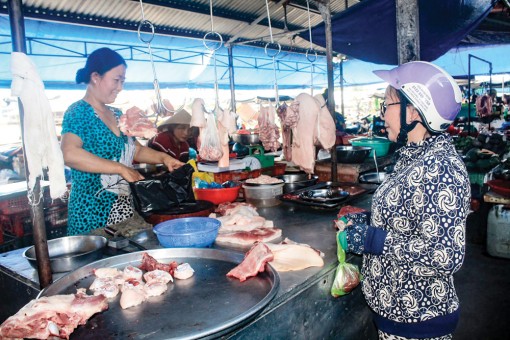 Đừng để heo hơi “sốt ảo”
