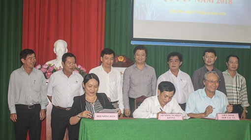 Đến năm 2020 có 180 hợp tác xã và liên hiệp hợp tác xã nông nghiệp hoạt động hiệu quả