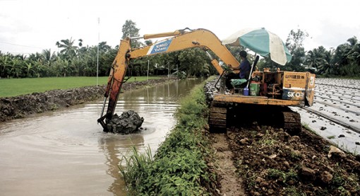 Chủ động, kịp thời hỗ trợ nông dân sản xuất