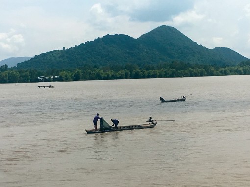 “Biển đồng”