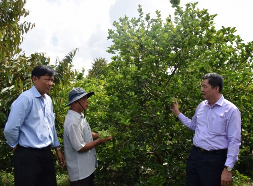 Lãnh đạo thành phố thăm các mô hình nông nghiệp, du lịch tại huyện Phong Điền
