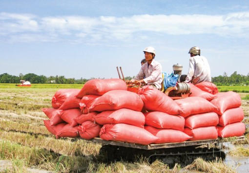 Phát huy vai trò chủ thể của nông dân trong xây dựng nông thôn mới