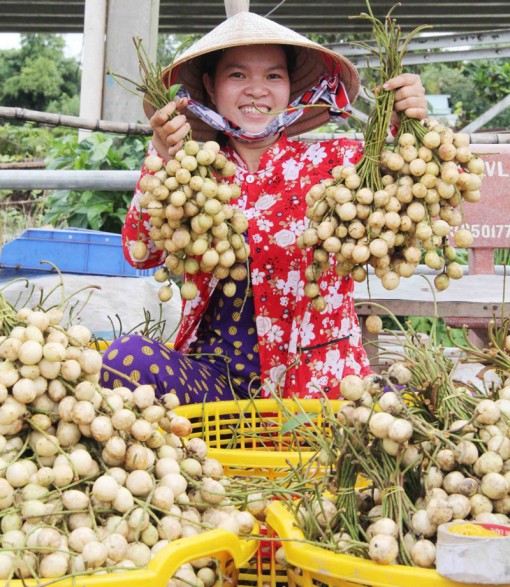 Động lực tăng trưởng