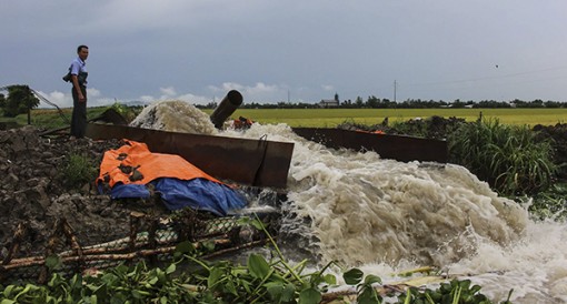 Tập trung bảo vệ sản xuất nông nghiệp trong đợt triều cường Rằm tháng 9 âm lịch