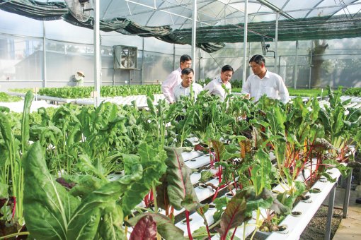 Nông nghiệp ĐBSCL chuyển mình với công nghệ 4.0<br>Bài cuối:  Nông nghiệp 4.0 “thúc” tái cơ cấu nông nghiệp