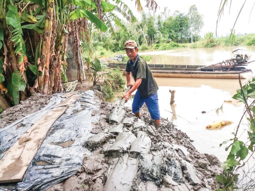 Vĩnh Thạnh sẵn sàng cho vụ lúa đông xuân