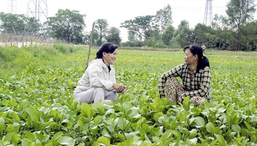 Nâng cao hiệu quả vận động quần chúng